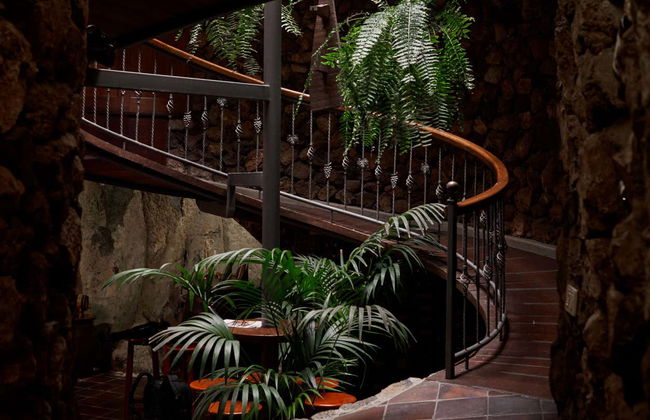 Visita às Bodegas Viñátigo - Foto 7