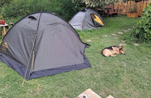 Agroturystyka u Psotki - Foto 40