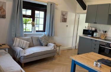 Cornflower - Photo 10