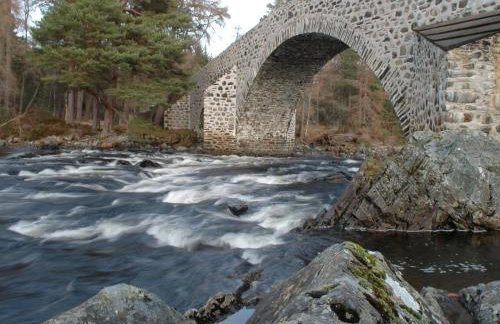 3 Bed in Blairgowrie oc-90111 - Photo 19