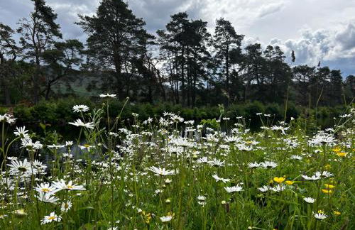 Aldernaig Mill - Photo 33