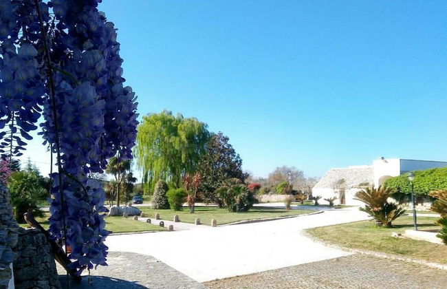 Tenuta Antico Leccio - Foto 12