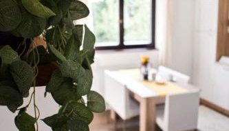 House Narta - Rastoke - Foto 5