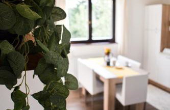 House Narta - Rastoke - Foto 5