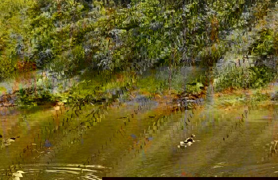 El Cielo Biohospedaje - Foto 43