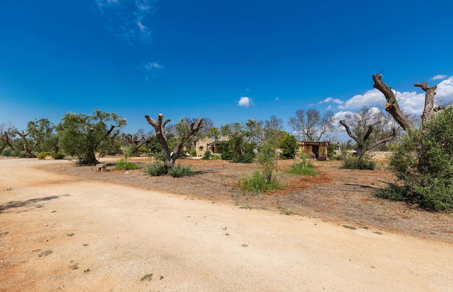2072 Trulli li Corsari - Trullo Piccolo by Barbarhouse - Foto 22