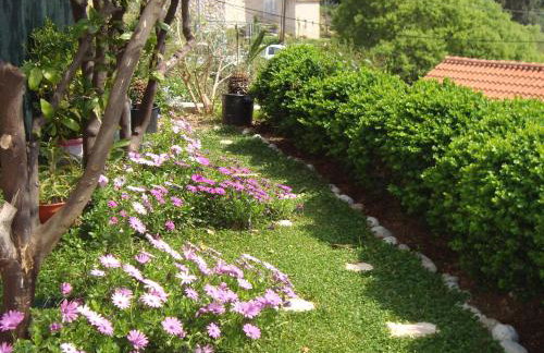 Apartments Lonza - Foto 15