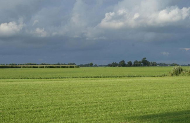 Farmhouse by Lauwers River With Rowing Boat - Foto 31