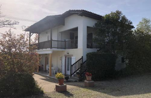 Le colibri - Photo 18