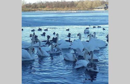 The Cottage - Hot Tub - nr Glasgow - self check-in - Foto 56