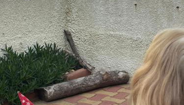 Ferienhaus in résidence naturiste direkt am Strand - Foto 4