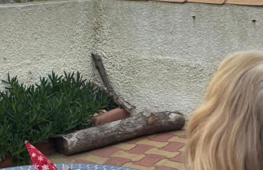 Ferienhaus in résidence naturiste direkt am Strand - Foto 4
