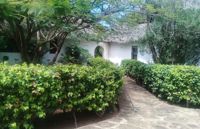 Lion Villa - Foto 24