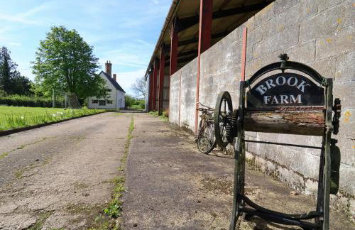 Brook Farm - Photo 44