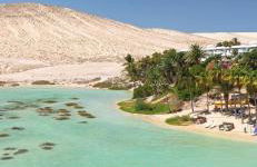 Estocolmo Lovely - Photo 49