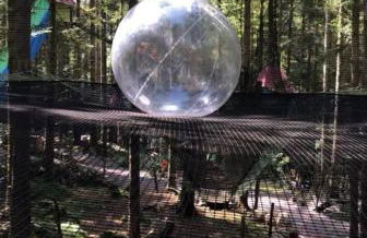 Chalet 10 pers sauna & SPA La tanière des Vosges - Foto 60