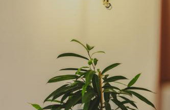 Mazi Rooms Giannitsa - Foto 18