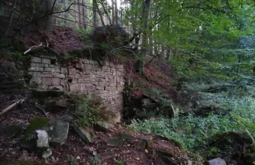 Spacious Farmhouse in Friedrichsfeld near Forest - Foto 43