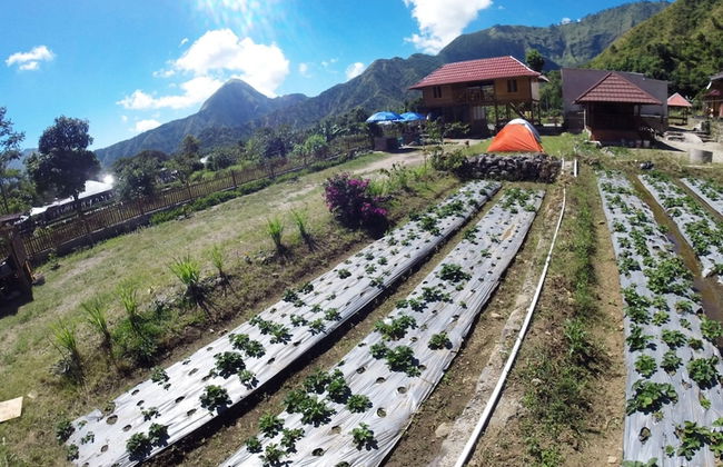 Bale Sembahulun Cottages & Tent - Foto 43