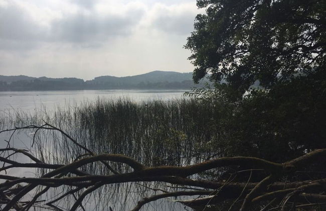 Panoramic View Comfortable Holiday Residence - Photo 10