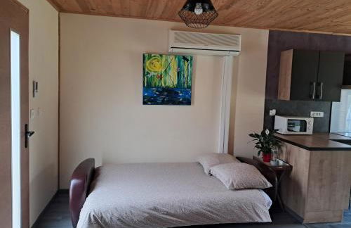 Gîte des giblins - Saint Amand en Puisaye - Foto 8