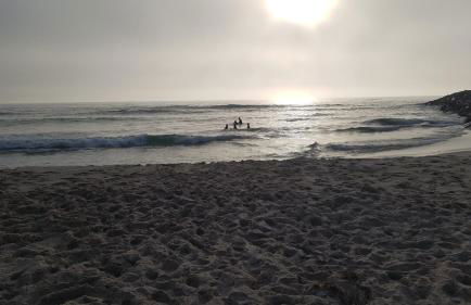 Casa da Mata - Foto 46