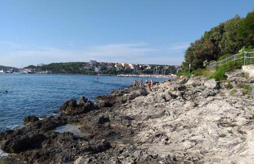 Levak Apartments - Apt. 1 - Photo 10