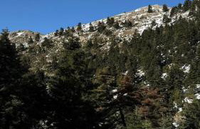 Guesthouse Charitou - Foto 15