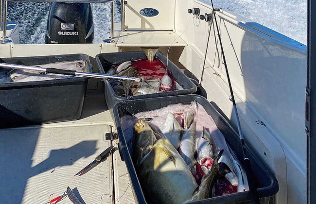 8 Person Holiday Home in Barmen - Foto 25