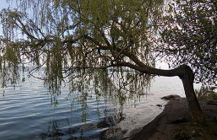 Domus Bolsena - Foto 59