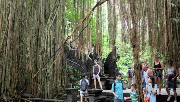 Ubud Nature and Culture: Monkey Forest, Tegalalang Rice Terraces and more – Full-Day Tour - Photo 5