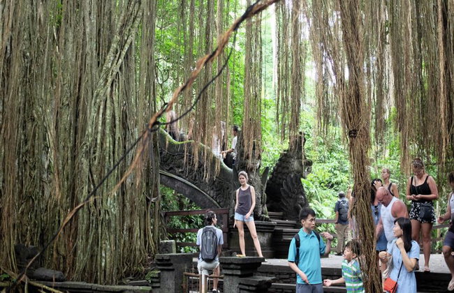 Ubud Nature and Culture: Monkey Forest, Tegalalang Rice Terraces and more – Full-Day Tour - Photo 5
