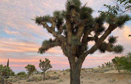 Electroliquid's Casa Pueblo Joshua Tree - Foto 39