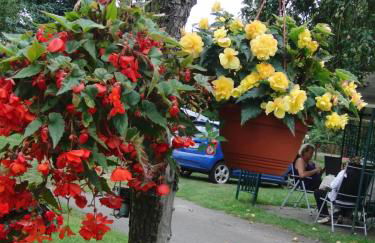 Ferienwohnung auf dem Gemüsehof an der Spree - Foto 9