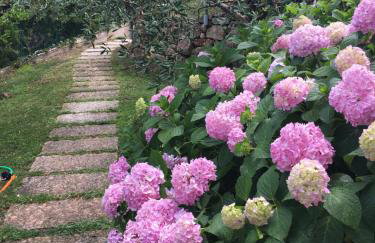 Casa Giordana - Foto 12