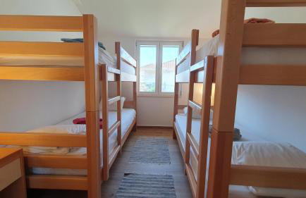 Holiday house - Dvori Vlahovici - Foto 21