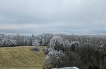 Manhattan 516 mit Schwimmbad - Foto 17