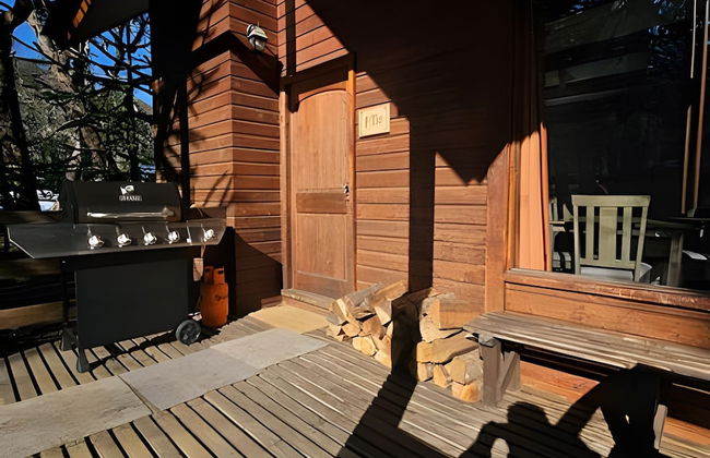 Oceana Suites Corralco - Photo 31