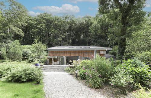 Dippers woodland setting at the Luxulyan Valley - Foto 1