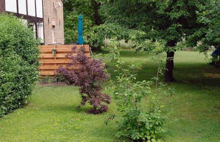 Gästewohnung A+C Bovet - Foto 5