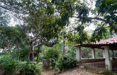 Sítio na Serra de Mulungu - Foto 13