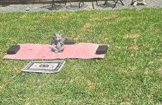 2 Bdrm Downtown - Foto 19