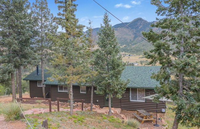 3BD Cowboy Cabin Pikes Peak Mountain Log Cabin - Photo 58
