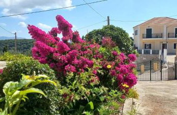 Traditional House - Photo 40