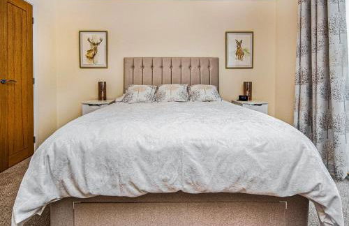 Terra Verde - Foto 8