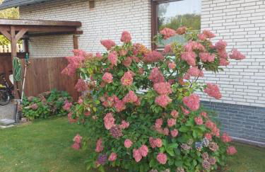 Schicke FeWo JaRa mit Saunaoption - Foto 12