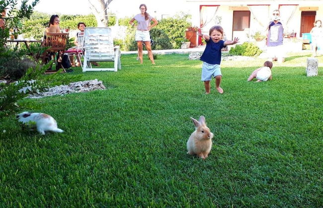 Masseria Costarella - Photo 41