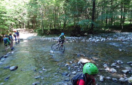 Eco-gite Dans Chalet Neuf Au Pied - Foto 19