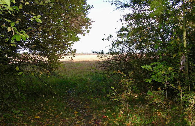 6 Person Holiday Home in Taastrup - Photo 9