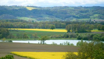 Gite Au Bouzigues - Photo 2